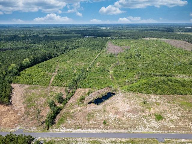 TBD Bellaire Dr, Nichols, SC 29581