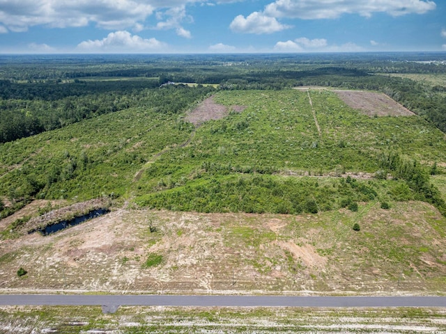 TBD Bellaire Dr, Nichols, SC 29581
