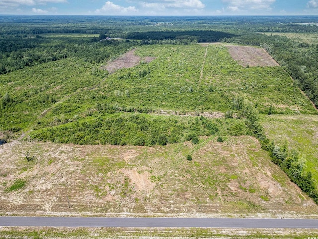 TBD Bellaire Dr, Nichols, SC 29581
