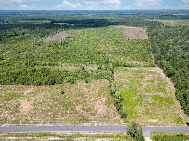 TBD Bellaire Dr, Nichols, SC 29581
