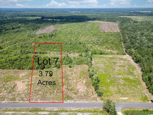 TBD Bellaire Dr, Nichols, SC 29581