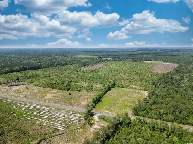 TBD Bellaire Dr, Nichols, SC 29581