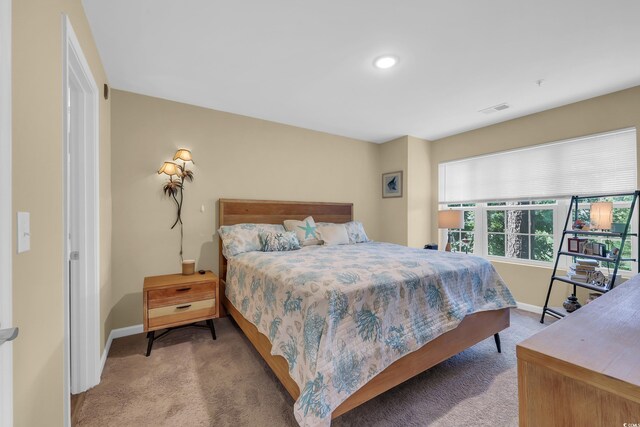 125 S Shore Dr Unit 204, Longs, SC 29568 - carpeted bedroom with baseboards