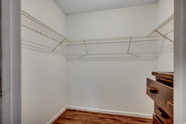 1836 Juniper Dr, Conway, SC 29527 - walk in closet featuring wood finished floors