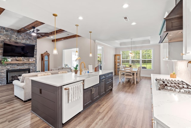 609 Mccown Dr, Conway, SC 29526 - kitchen featuring dishwasher, a ceiling fan, a raised ceiling, light wood finished floors, and custom exhaust hood