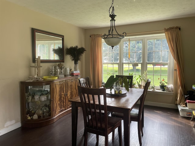 1872 Harris Short Cut Rd, Conway, SC 29526 - dining room with dark wood-style floors, healthy amount of natural light, and a textured ceiling