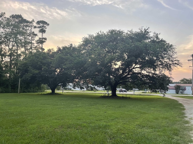 1872 Harris Short Cut Rd, Conway, SC 29526 - view of green lawn