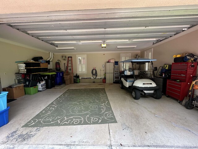 487 Trestle Way, Conway, SC 29526 - garage with a garage door opener
