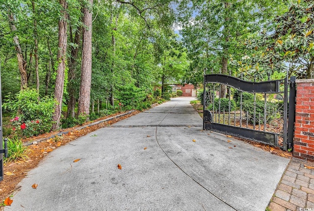 487 Trestle Way, Conway, SC 29526 - view of gate
