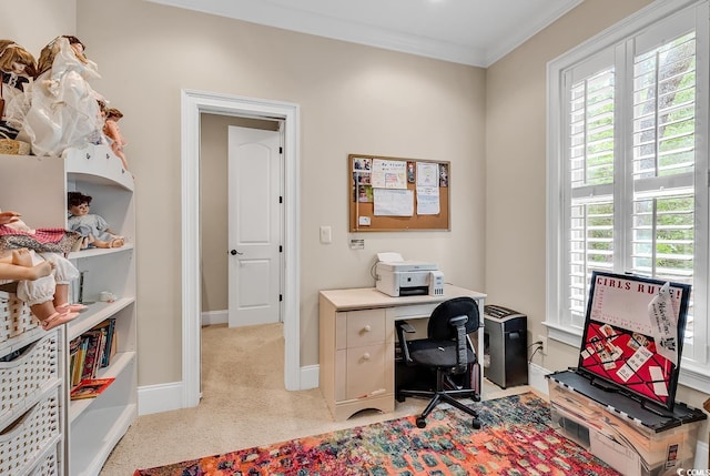 487 Trestle Way, Conway, SC 29526 - office area featuring crown molding and light colored carpet