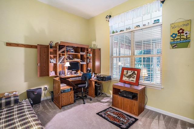4726 Southern Trl, Myrtle Beach, SC 29579 - office featuring carpet