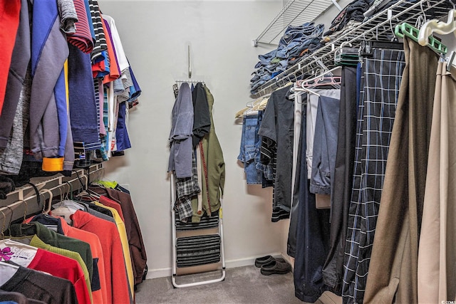 4726 Southern Trl, Myrtle Beach, SC 29579 - walk in closet with carpet flooring