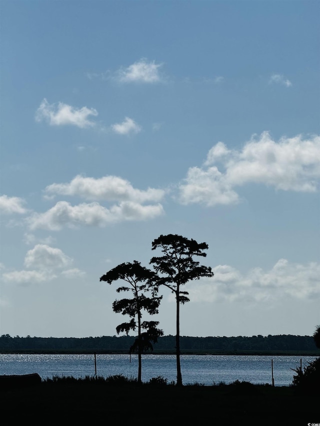 TBD S Bay St, Georgetown, SC 29440