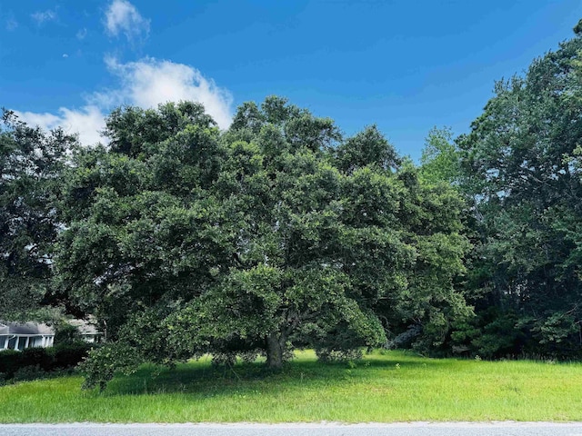 TBD S Bay St, Georgetown, SC 29440
