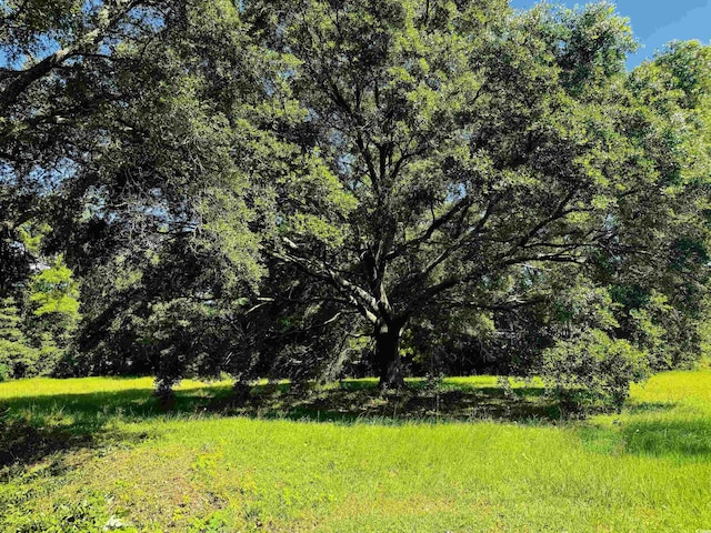 TBD S Bay St, Georgetown, SC 29440