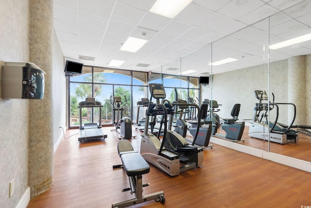 4800 S Ocean Blvd Unit 520, North Myrtle Beach, SC 29582 - exercise room featuring wood finished floors, healthy amount of natural light, floor to ceiling windows, and a drop ceiling