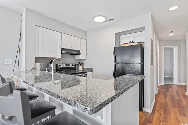 1100 Possum Trot Rd Unit F218, North Myrtle Beach, SC 29582 - kitchen featuring under cabinet range hood, freestanding refrigerator, stainless steel range with electric stovetop, a peninsula, and stone counters