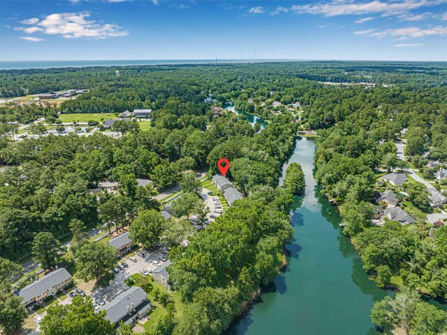 178 Beaver Pond Loop Unit 60, Pawleys Island, SC 29585 - aerial view of property's location featuring a nearby body of water