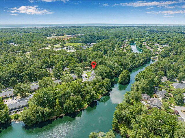 178 Beaver Pond Loop Unit 60, Pawleys Island, SC 29585 - aerial view of property's location with a large body of water and a heavily wooded area