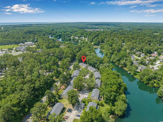178 Beaver Pond Loop Unit 60, Pawleys Island, SC 29585 - aerial view of property's location with a heavily wooded area and a large body of water