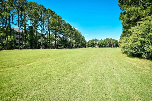 5825 Catalina Dr Unit 833, North Myrtle Beach, SC 29582 - view of green lawn