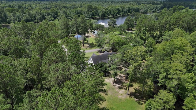160 Comanche Dr, Georgetown, SC 29440 - view of property location with a heavily wooded area and a nearby body of water