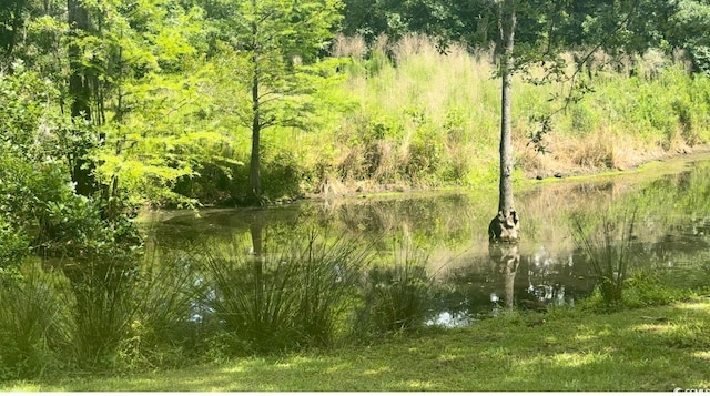 160 Comanche Dr, Georgetown, SC 29440 - view of wooded area