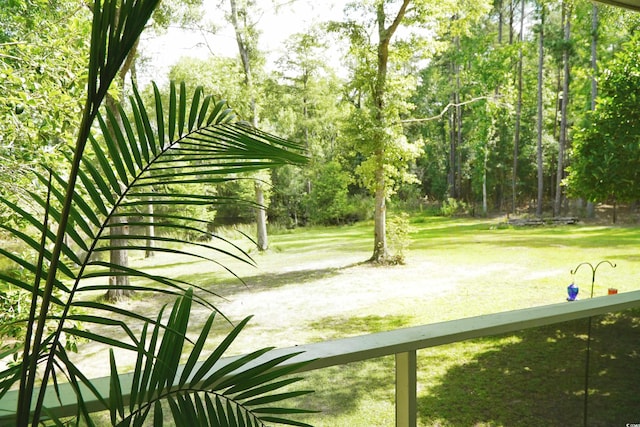 160 Comanche Dr, Georgetown, SC 29440 - view of property's community with a yard