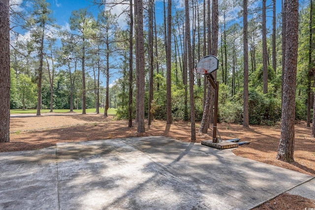 137 Hickory Dr, Conway, SC 29526 - photo 36