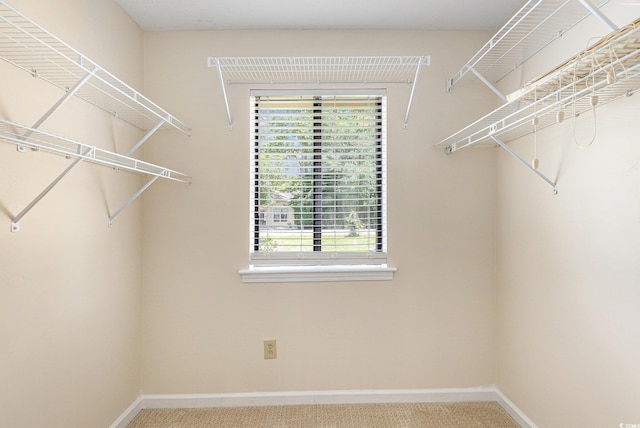 137 Hickory Dr, Conway, SC 29526 - photo 22