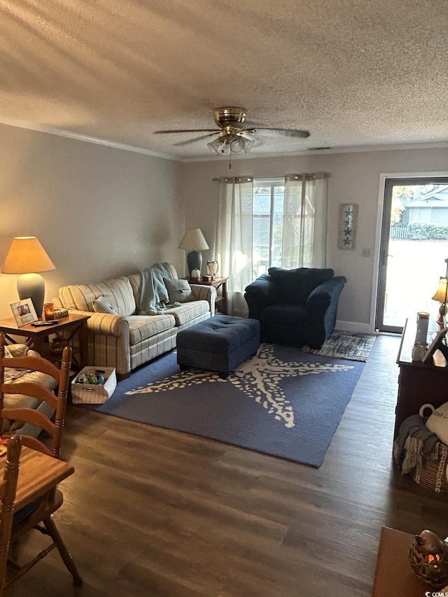 814 James Landing Ct, Murrells Inlet, SC 29576 - photo 11