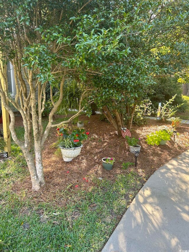 814 James Landing Ct, Murrells Inlet, SC 29576 - photo 33