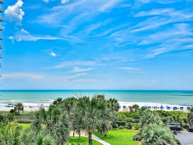 9840 Queensway Blvd Unit 331, Myrtle Beach, SC 29572 - photo 3