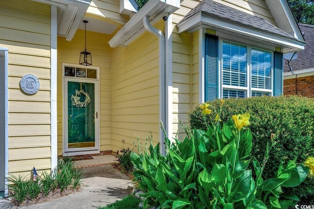 2602 Clearwater St, Myrtle Beach, SC 29579 - entrance to property