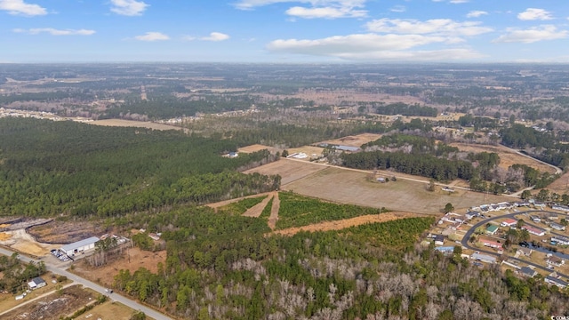 LOT7 Allentown Dr, Conway, SC 29526 - photo 11
