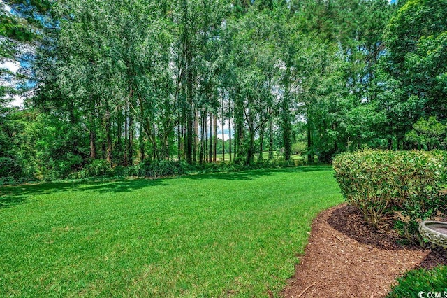 2450 Marsh Glen Dr Unit 112, North Myrtle Beach, SC 29582 - view of grassy yard