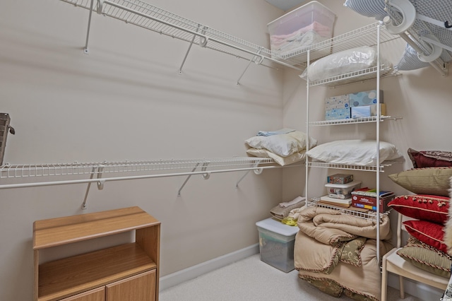 907 Tidewater Dr, North Myrtle Beach, SC 29582 - spacious closet with carpet flooring