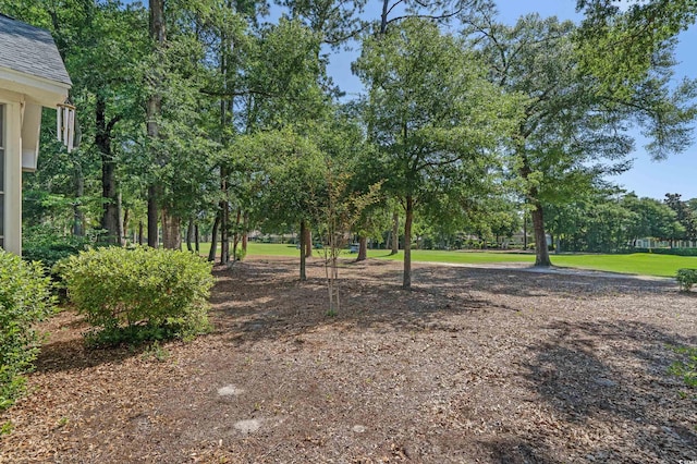 907 Tidewater Dr, North Myrtle Beach, SC 29582 - view of yard