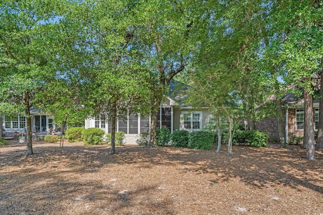 907 Tidewater Dr, North Myrtle Beach, SC 29582 - view of property hidden behind natural elements