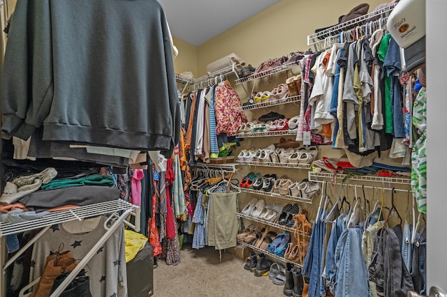 100 Brookgreen Trace Pl, Pawleys Island, SC 29585 - photo 29
