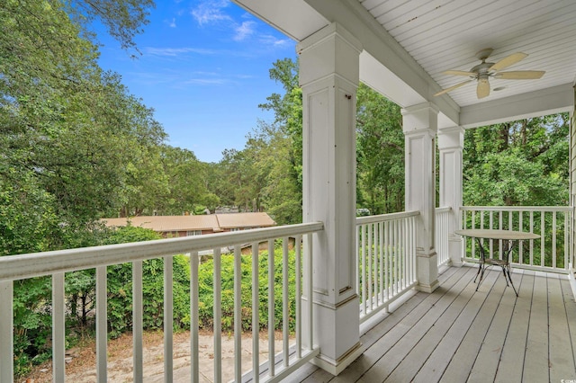 100 Brookgreen Trace Pl, Pawleys Island, SC 29585 - photo 24