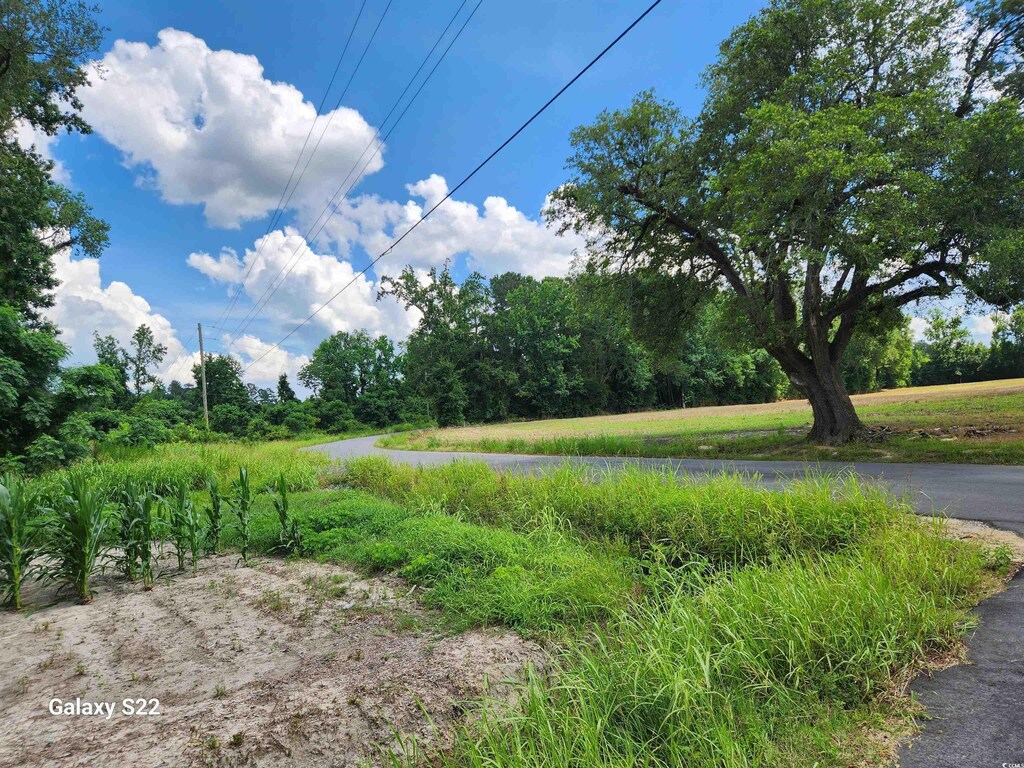 TBD Fairlane Rd, Loris, SC 29569 - photo 3