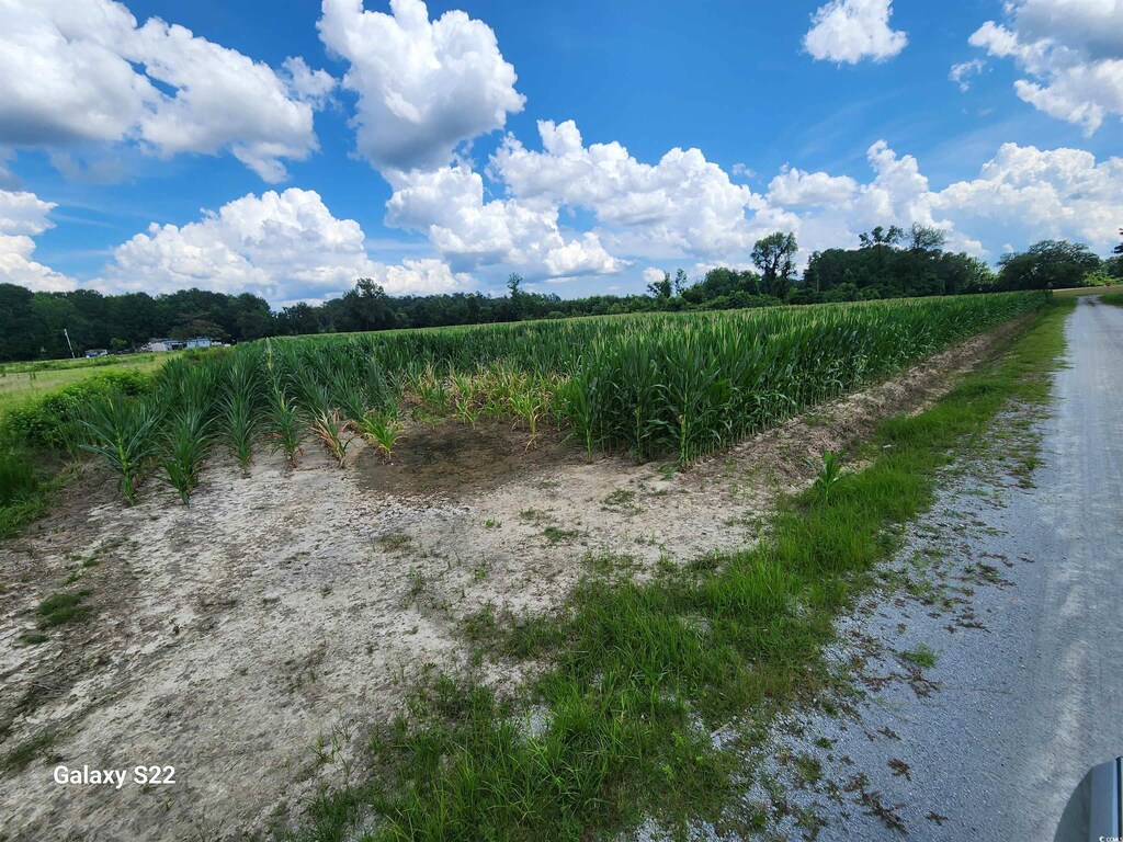 TBD Fairlane Rd, Loris, SC 29569 - photo 4