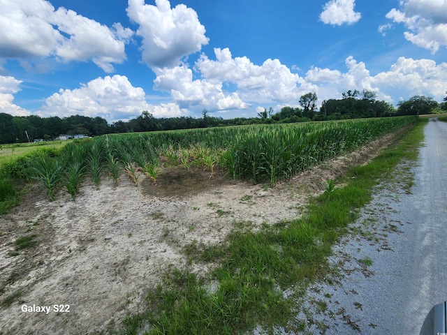 TBD Fairlane Rd, Loris, SC 29569 - photo 4