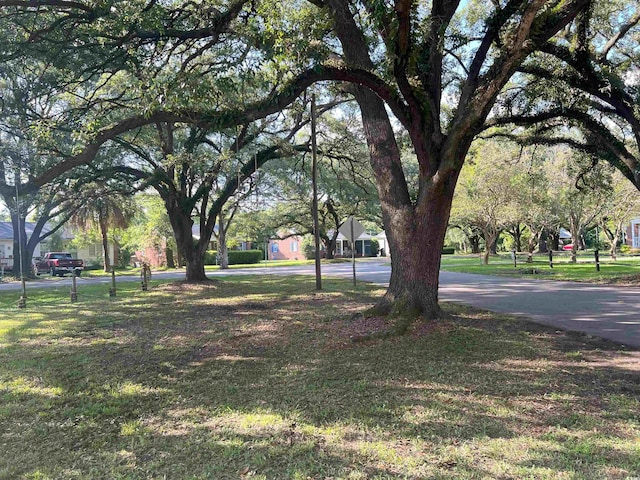 518 Nowell St, Georgetown, SC 29440 - view of yard