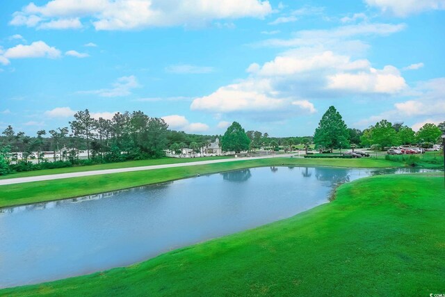 110 S Shore Blvd Unit 203, Longs, SC 29568 - water view
