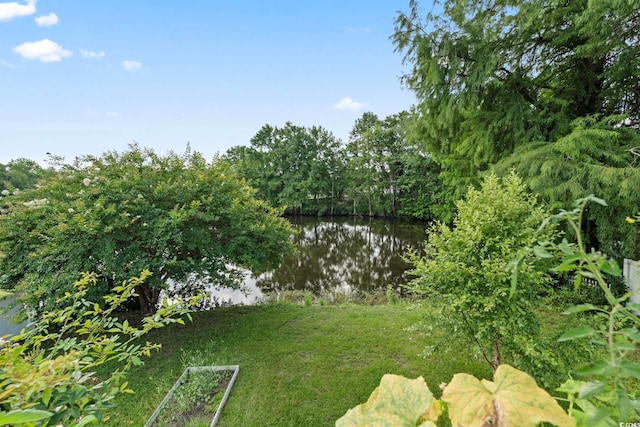 5867 Rosewood Dr, Myrtle Beach, SC 29588 - photo 27