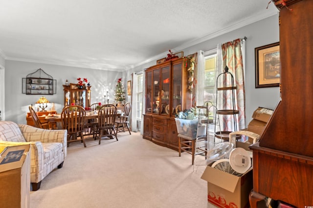 1005 S Main St, Mullins, SC 29574 - carpeted living room with ornamental molding
