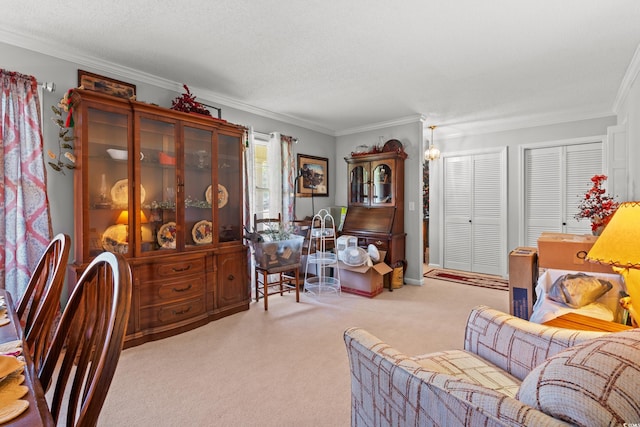 1005 S Main St, Mullins, SC 29574 - living area with carpet flooring, crown molding, and a textured ceiling