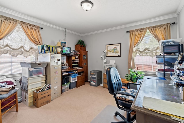 1005 S Main St, Mullins, SC 29574 - carpeted office space featuring ornamental molding